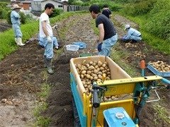 畑で働く人たち